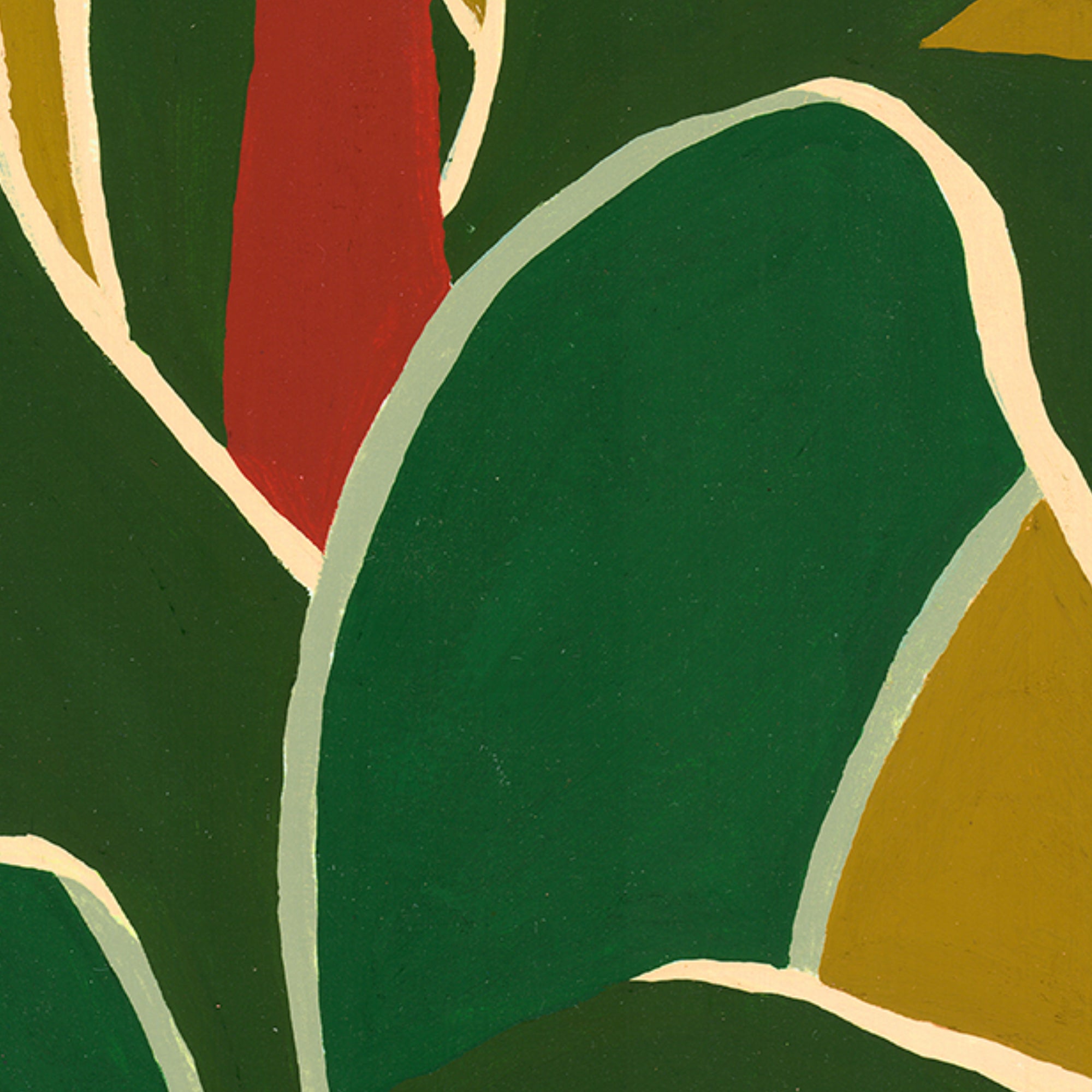 Agave