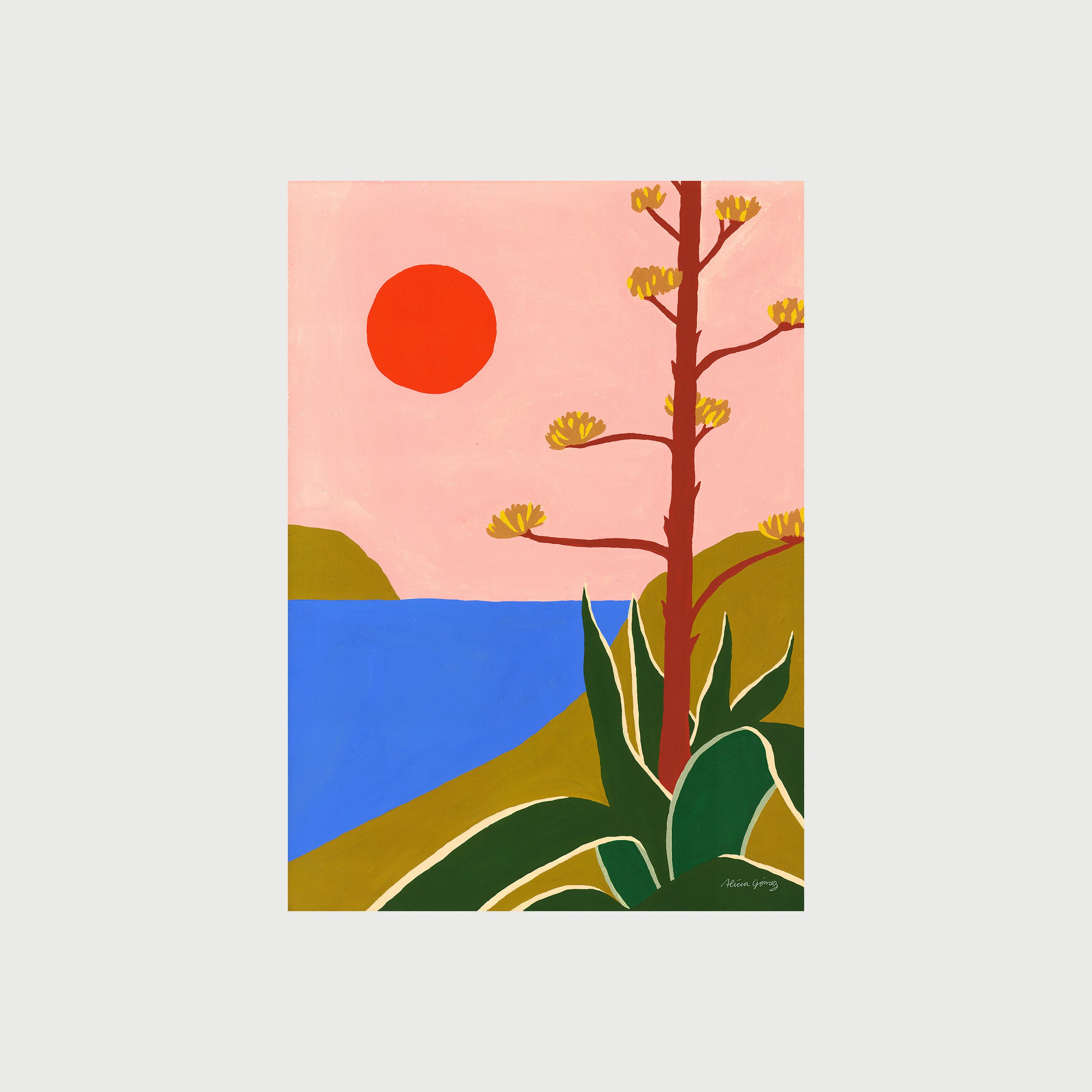 Agave
