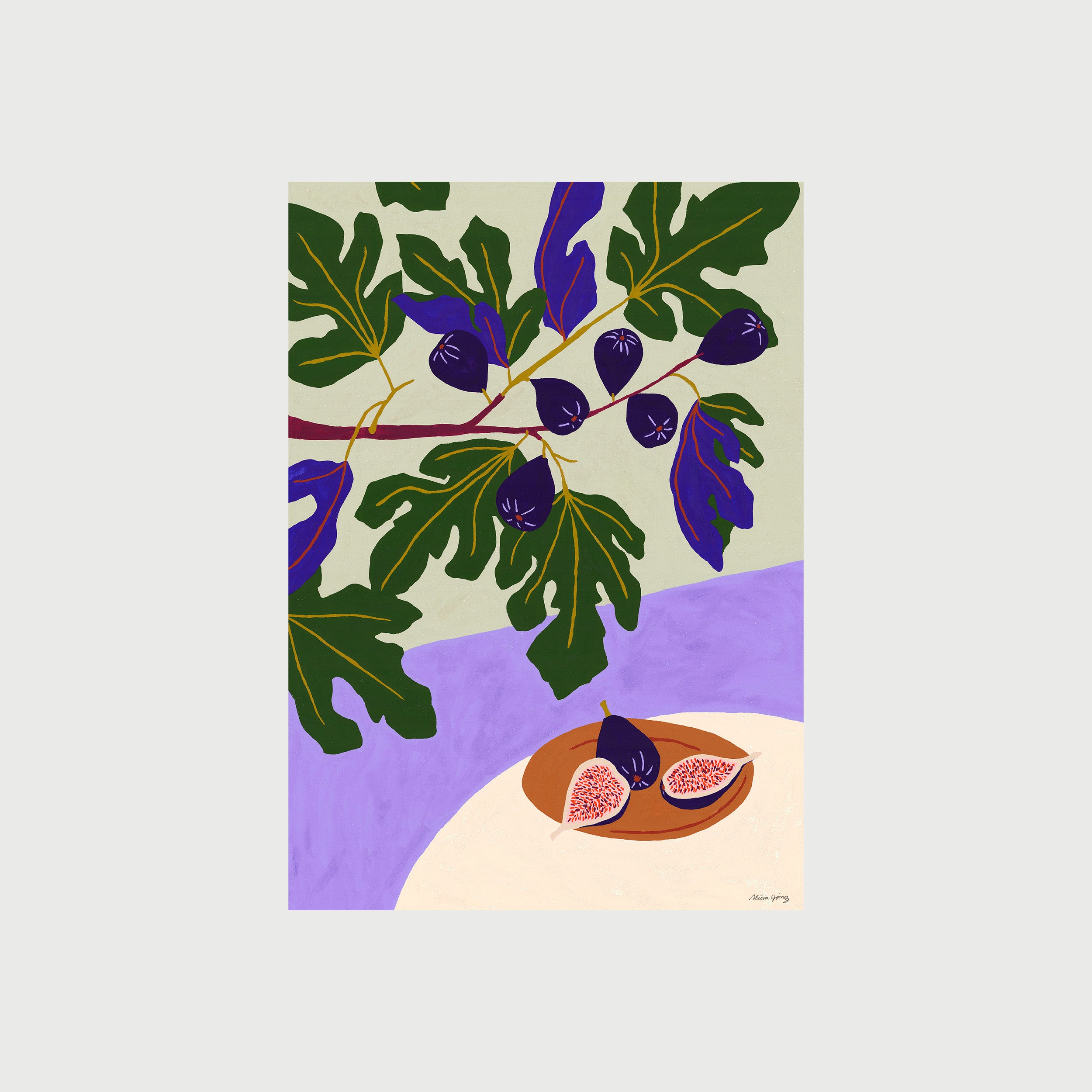 Fig tree