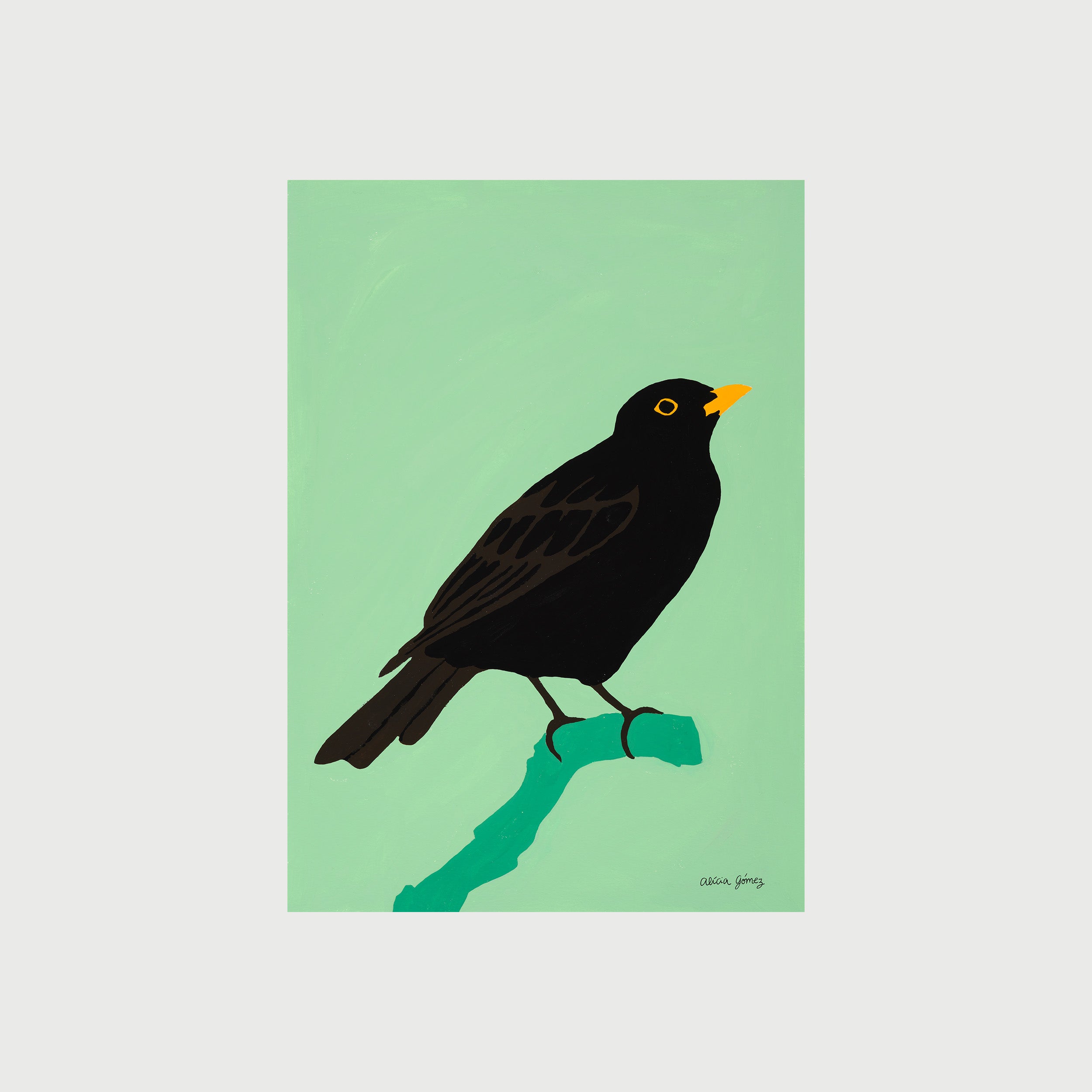 Black bird