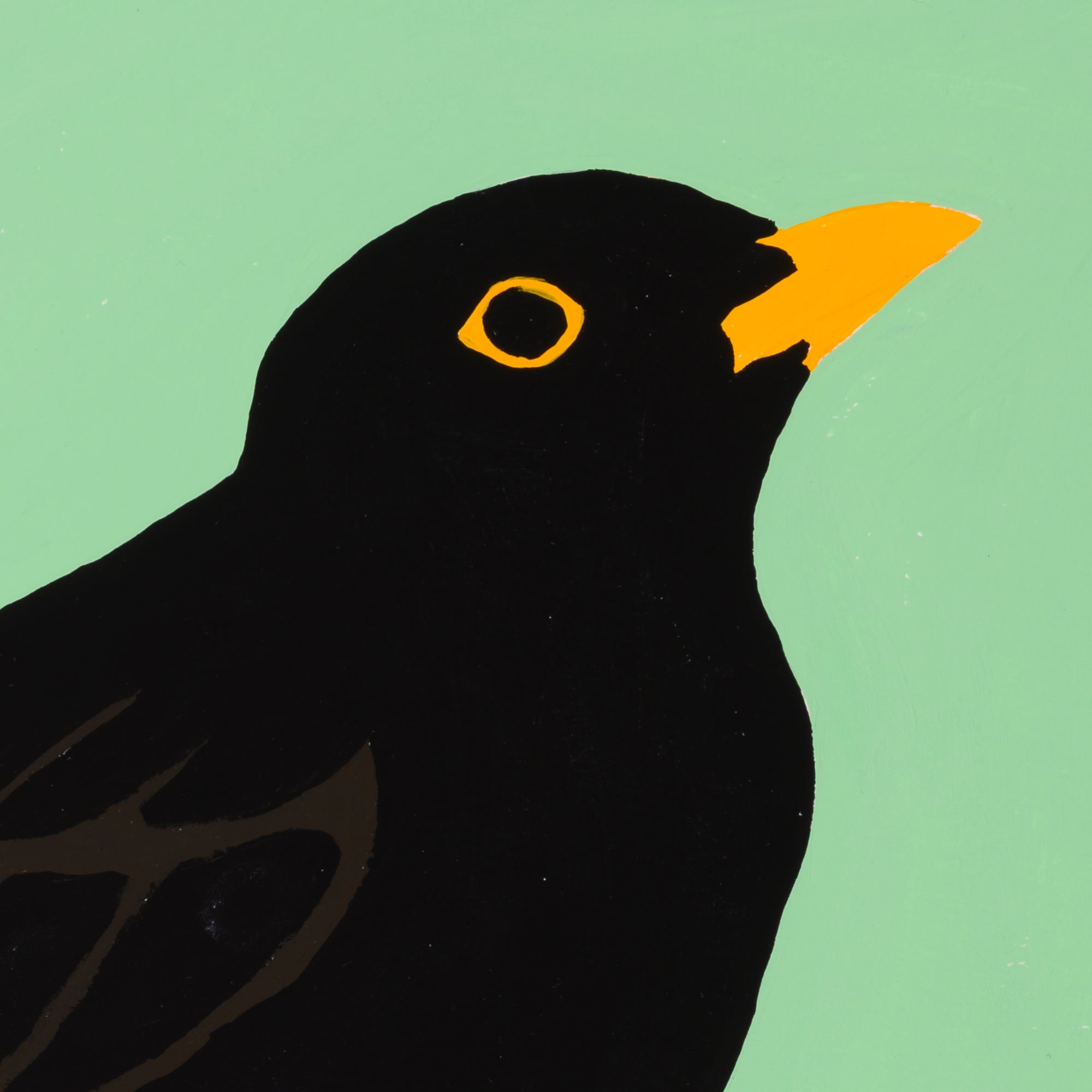 Black bird