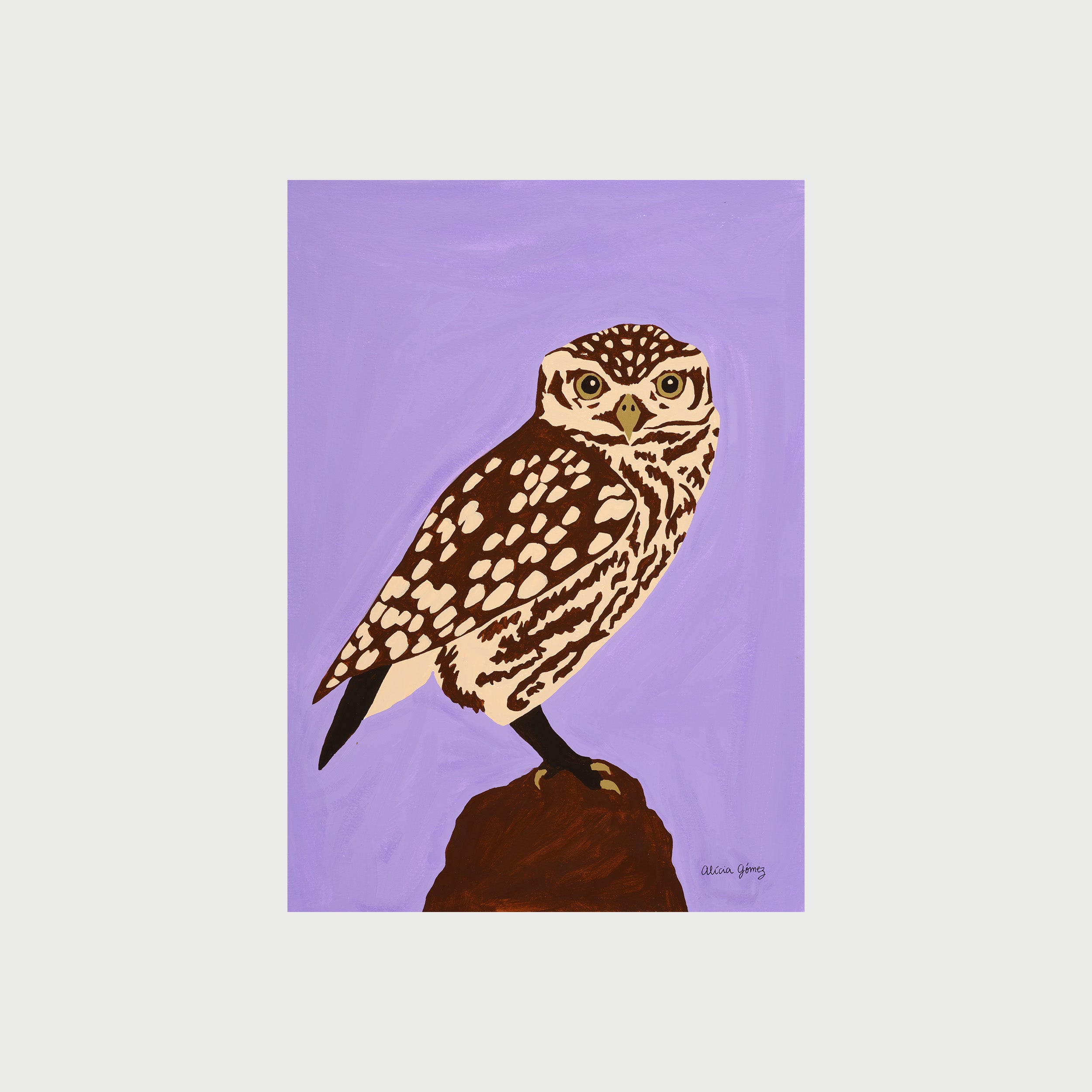 Owl